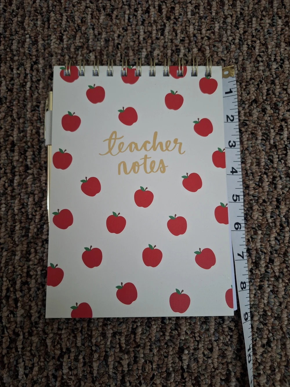 Teacher Notes Notebook with Red Apple Pattern